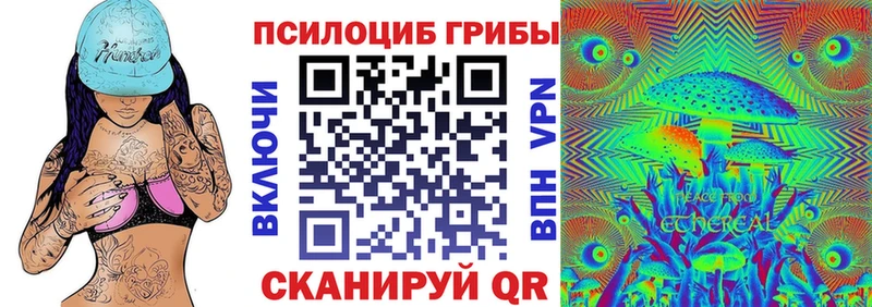 Галлюциногенные грибы прущие грибы  Боровичи 