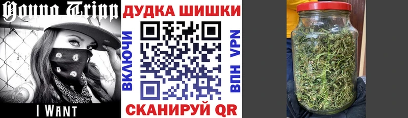 Каннабис сатива  дарнет шоп  Боровичи 